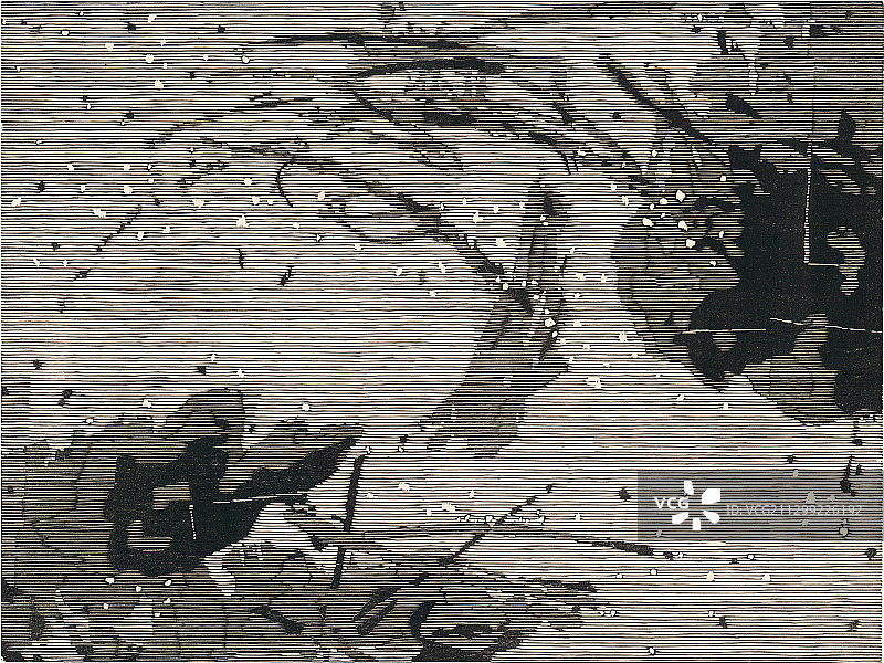 黑白木刻版画《贡湖系列之六》图片素材