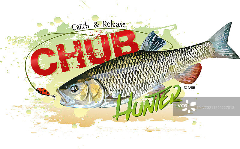 钓鮈鱼图片素材