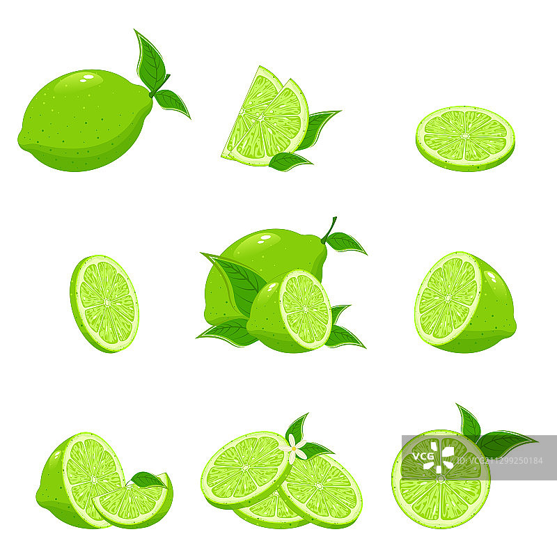 新鲜青柠系列图片素材