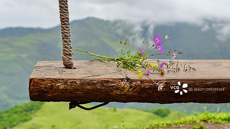 云端秋千上的花朵；卧龙甘海子；成都周边网红打卡热门景区图片素材