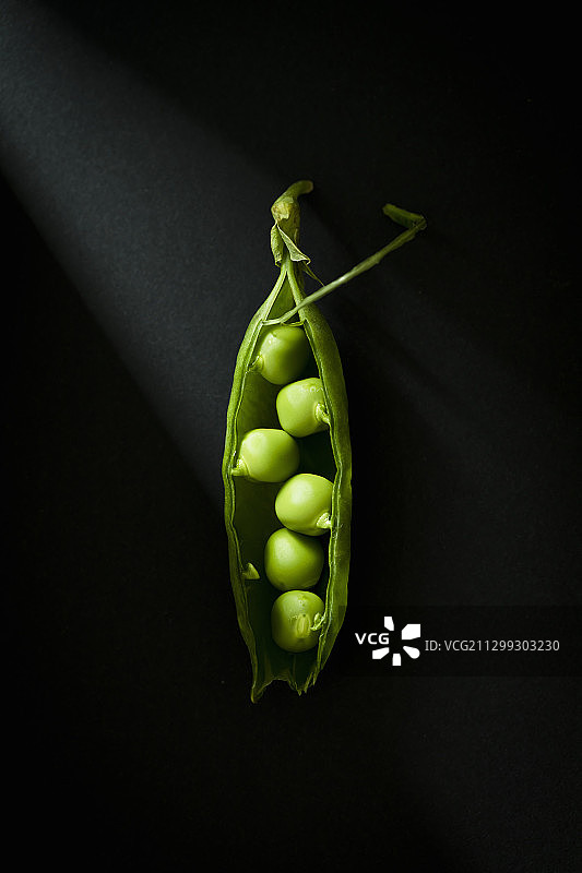 豌豆和豆荚图片素材