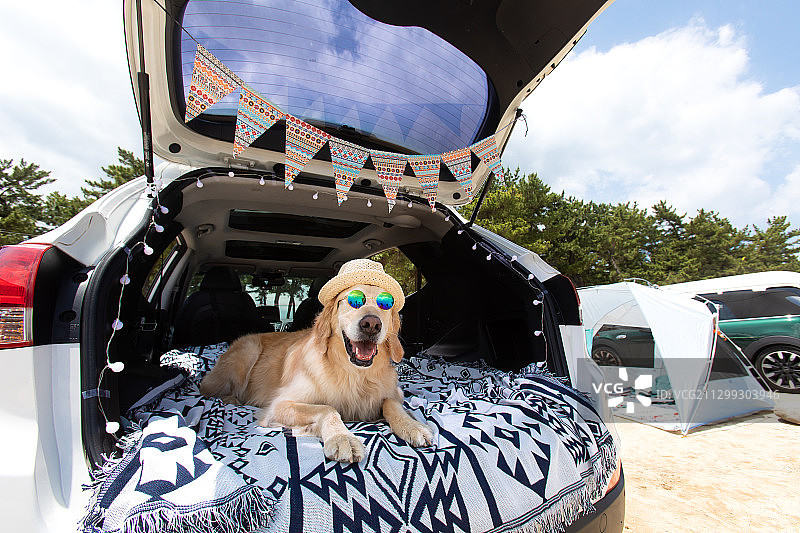 汽车露营旅行后备箱图片素材