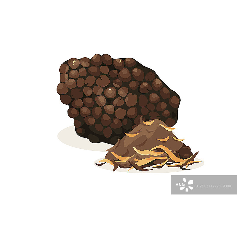 松露独立图标蘑菇片图片素材