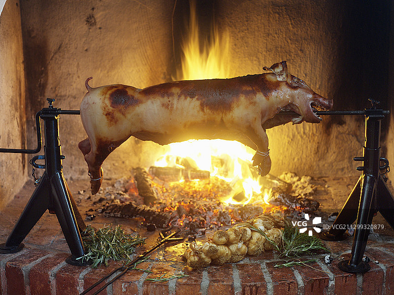 烤架上烤乳猪图片素材