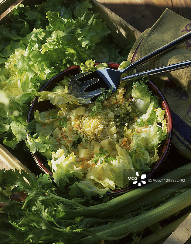 鸡蛋奶酪蔬菜沙拉图片素材