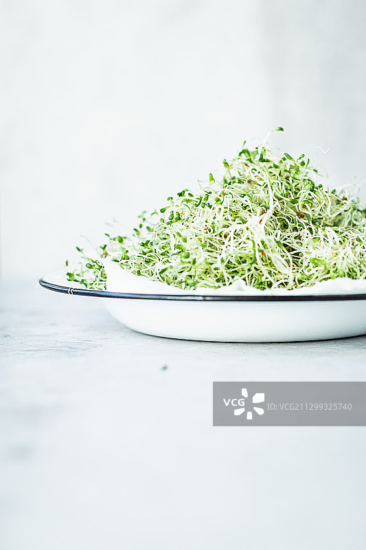 搪瓷碗里的苜蓿芽图片素材