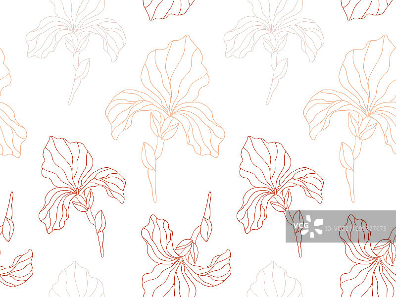 鸢尾花无缝花卉图案图片素材