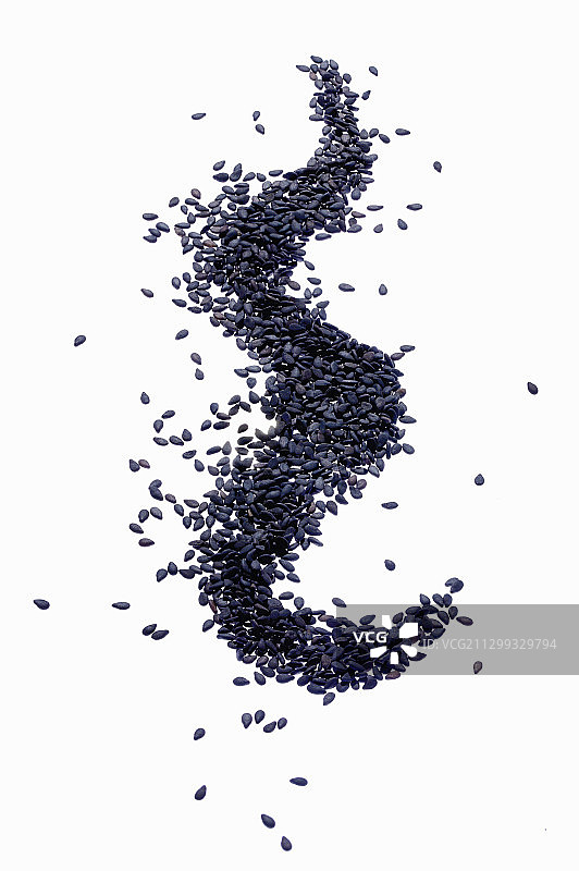 黑色的芝麻图片素材