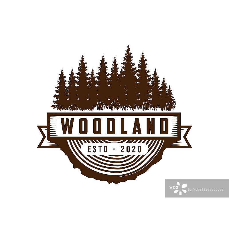 复古乡村风常绿松柏雪松图片素材