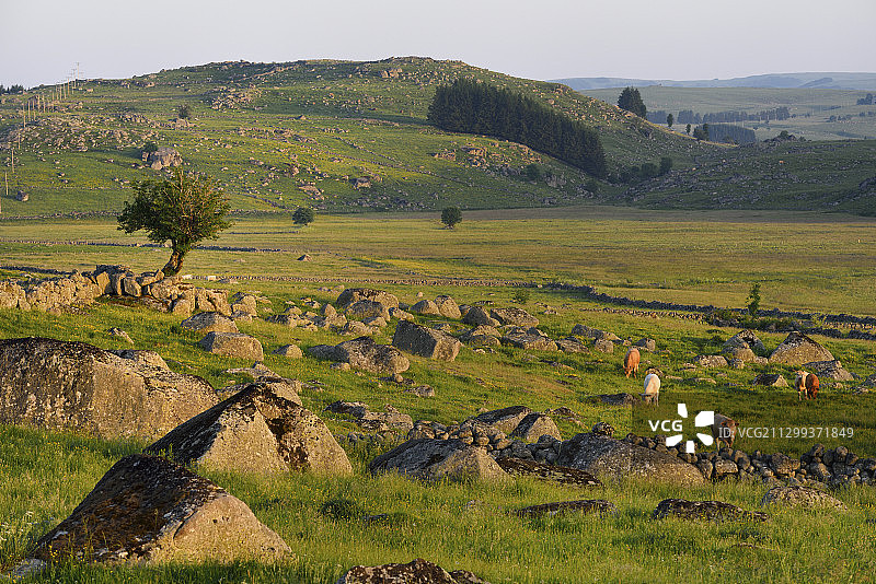 法国洛泽尔省奥布拉克地区自然公园：纳斯比纳尔周边图片素材
