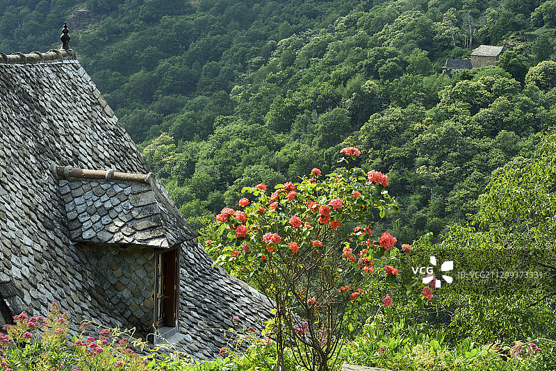 法国阿韦龙省瓦隆老石屋顶和特吕耶尔峡谷图片素材