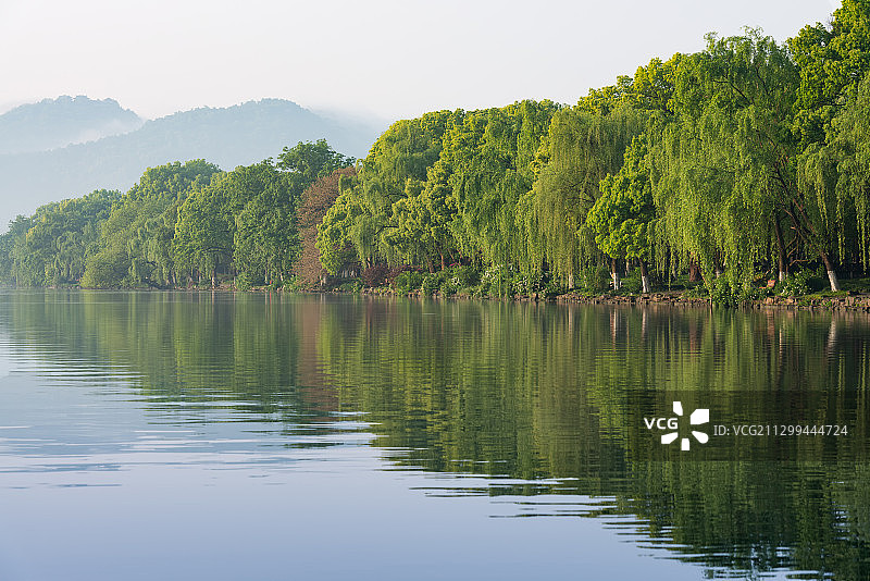 浙江杭州西湖钱塘江曲院风荷云栖竹径西湖十景世界遗产城市风光图片素材
