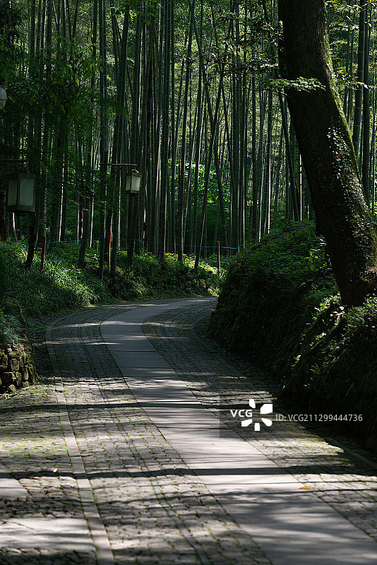 浙江杭州西湖钱塘江曲院风荷云栖竹径西湖十景世界遗产城市风光图片素材