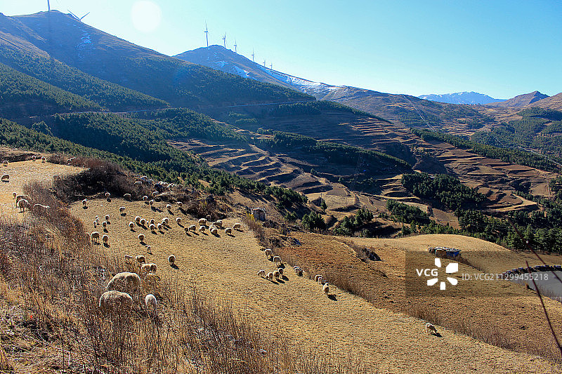 冬日大海草山图片素材
