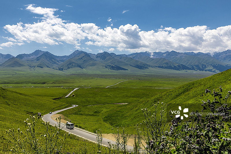 新疆那拉提大草原的风光图片素材