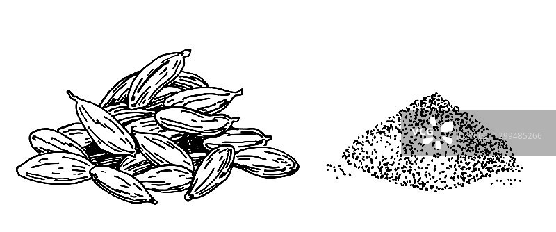 豆蔻手绘墨水图片素材