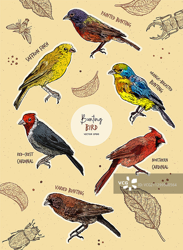 彩旗小鸟手绘草图套装图片素材