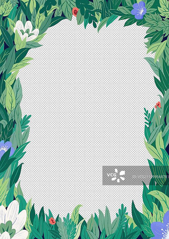 植物框图片素材