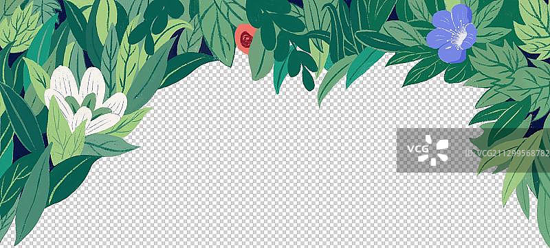 植物框图片素材