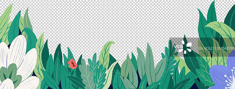 植物框图片素材