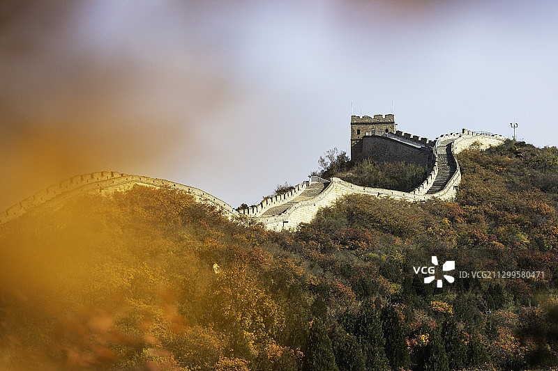 红叶映长城图片素材