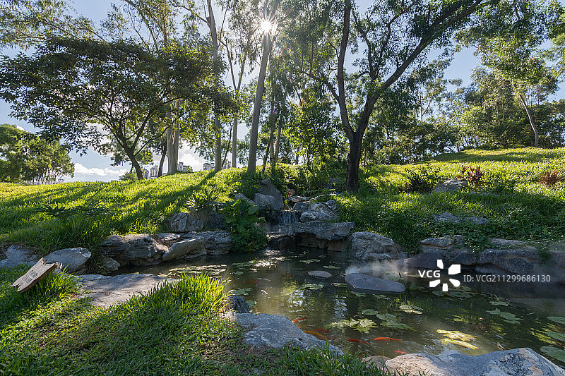 珠海香山湖公园图片素材