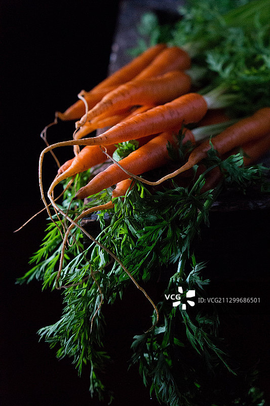 是胡萝卜呀图片素材