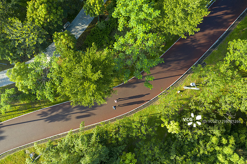 航拍清晨公园里的绿道图片素材