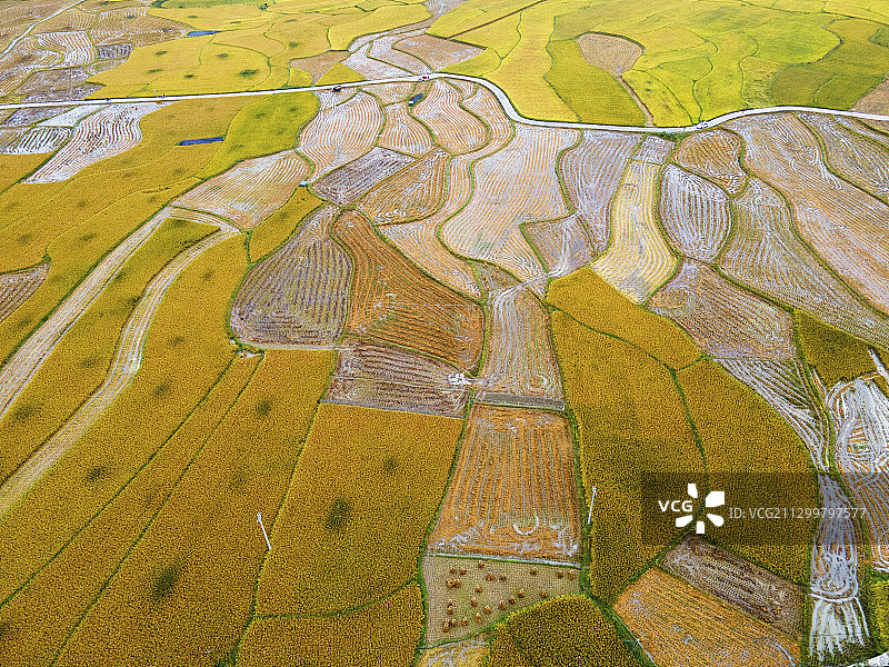 贵州遵义：丰收图景美如画图片素材