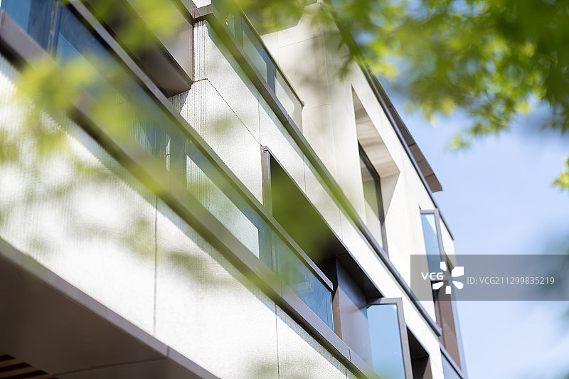 绿荫和现代住宅图片素材