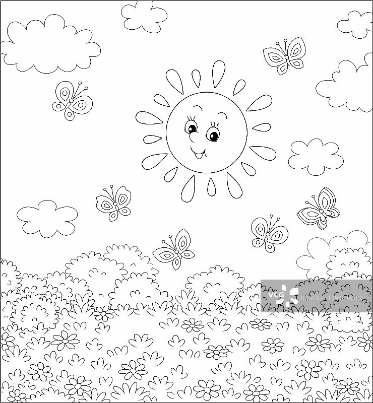 阳光和蝴蝶飞舞在田野上图片素材