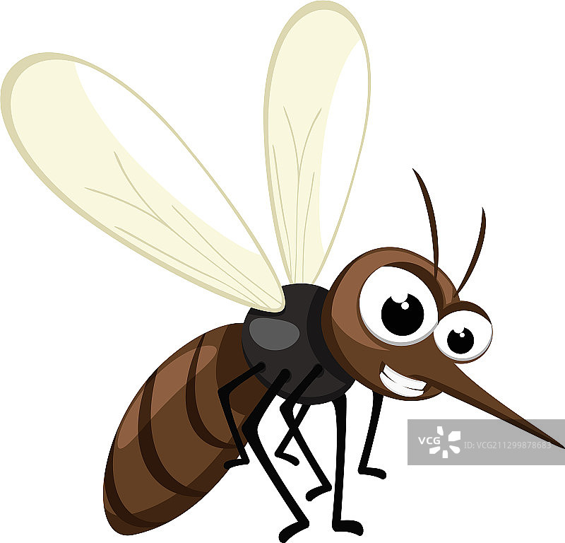 蚊子在白色背景上飞舞图片素材