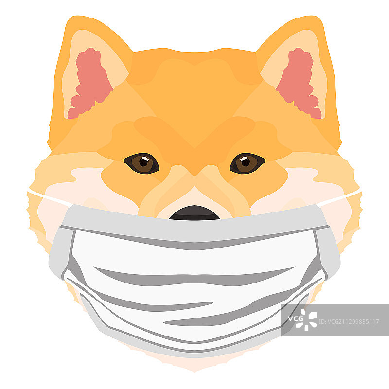 戴呼吸器的柴犬图片素材