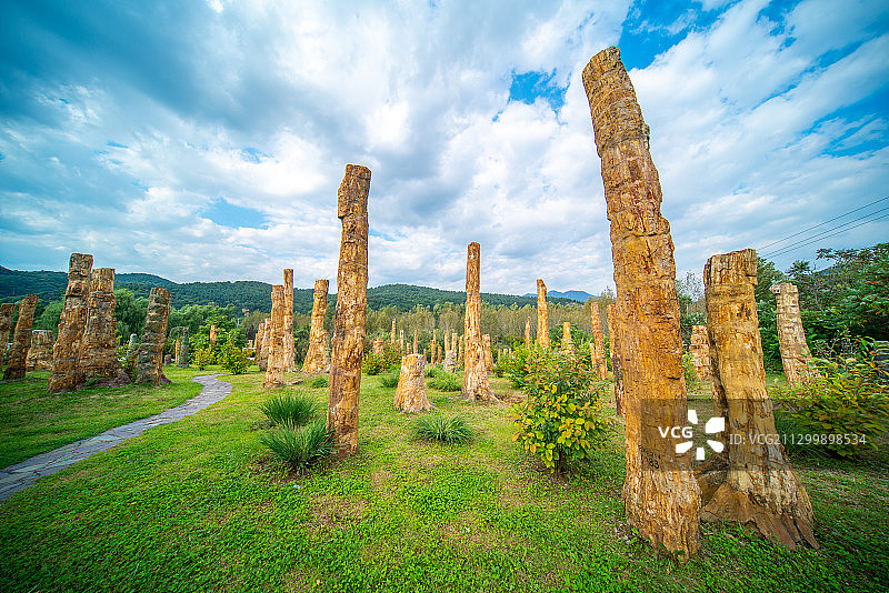 中国辽宁省本溪市硅化木林公园图片素材