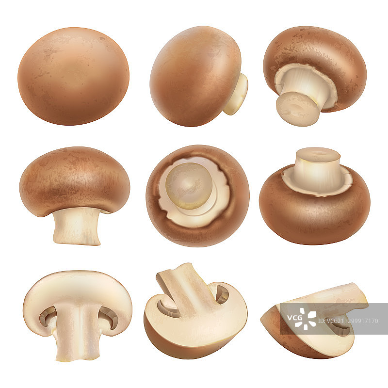 褐菇蘑菇拼盘图片素材