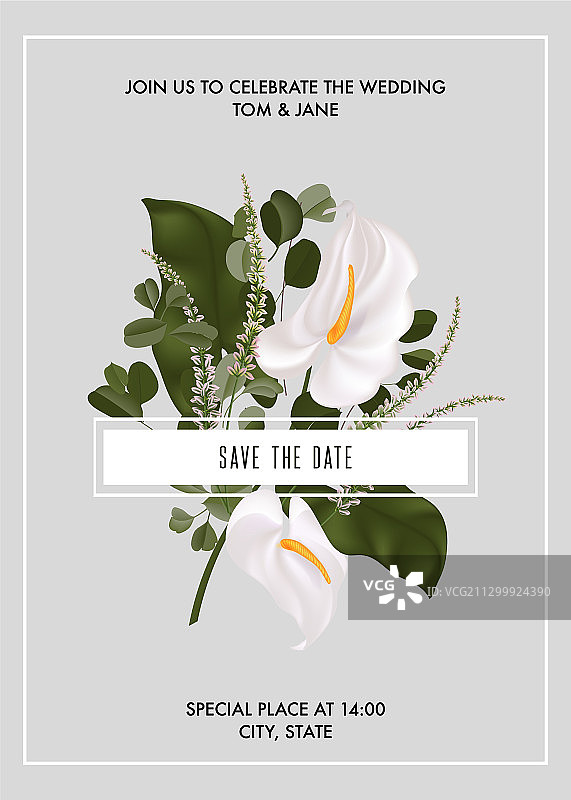 带白色鲜花马蹄莲桉树的贺卡图片素材