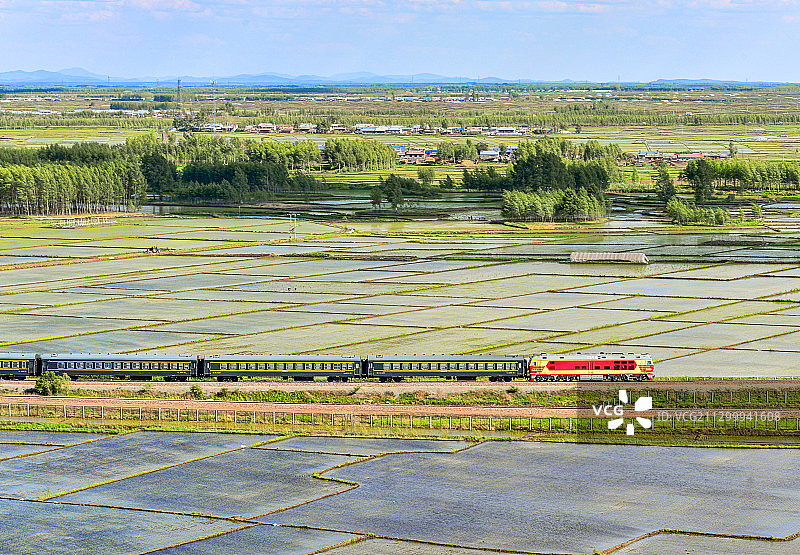 神树-绥化K7244次火车行驶在绥佳线双丰-庆安区间水田旁图片素材