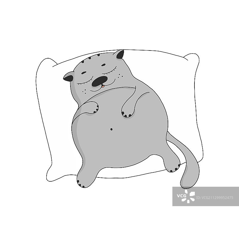 卡通风格的可爱肥猫在枕头上睡觉图片素材