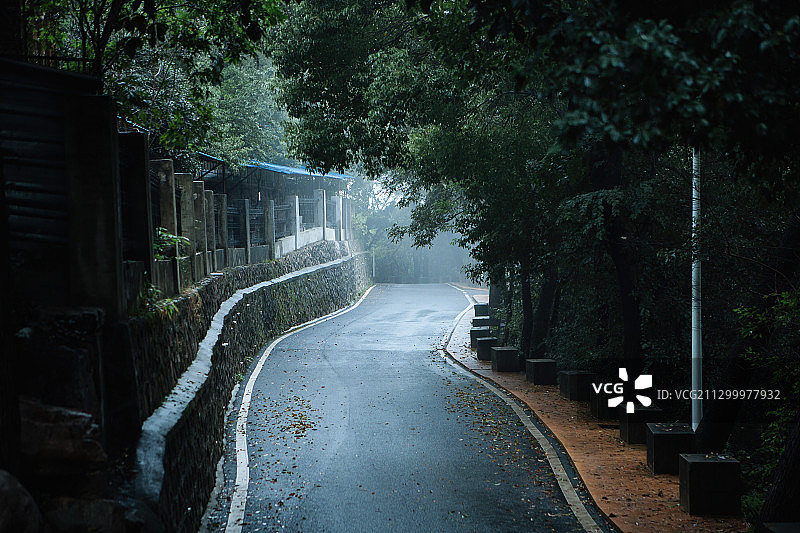 烟雨江南的小路树林公园阴雨天起雾了二十四气节清明谷雨配图图片素材