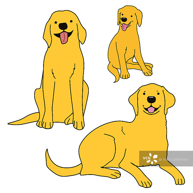 寻回犬图片素材