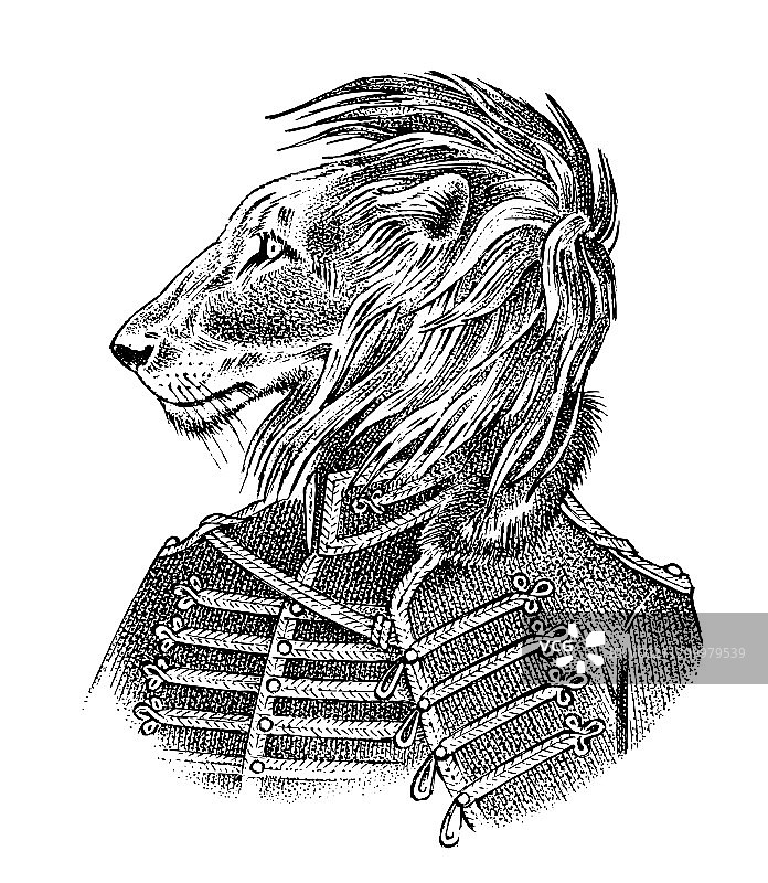 军装风北极熊图片素材