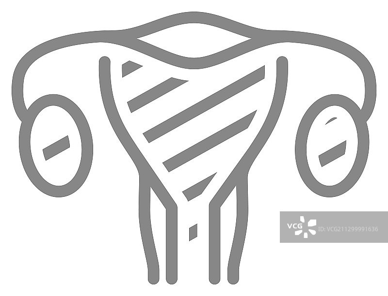 子宫不适的女性线条图标，子宫癌图片素材