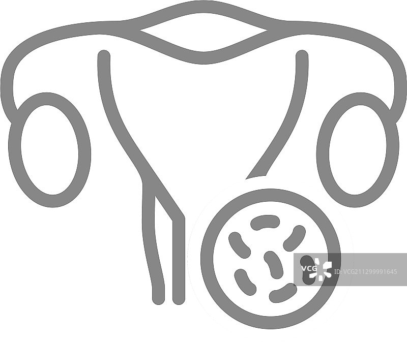 女性子宫细菌感染疾病线条图标图片素材