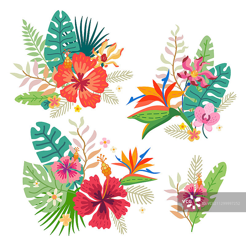 热带花卉素材合集图片素材