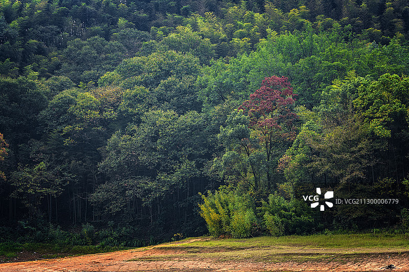 中国，湖南省，益阳市，桃江县，桃花湖图片素材