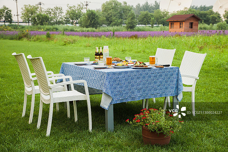 草坪上的野餐餐桌图片素材