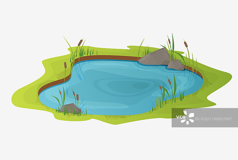 风景如画的芦苇水塘图片素材