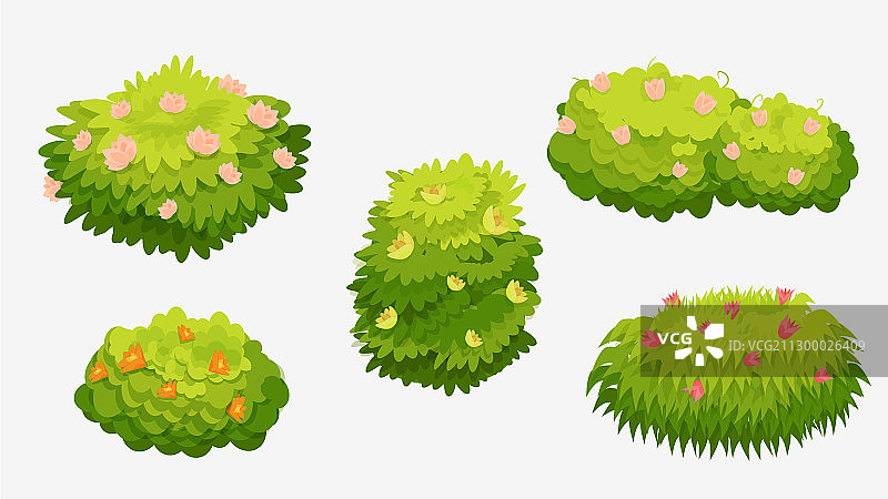 开着各色鲜花的绿色灌木丛图片素材