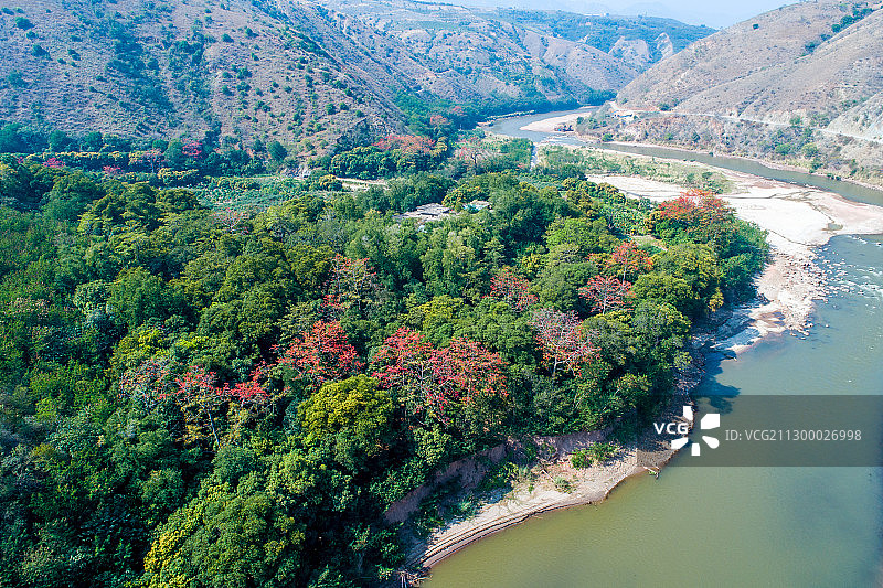 云南省玉溪市元江哈尼族彝族傣族自治县攀枝花图片素材