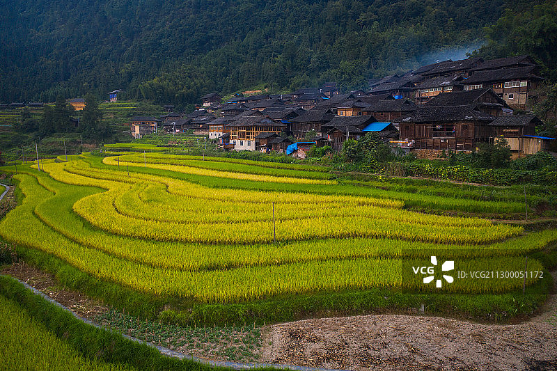 航拍梯田与苗寨建筑图片素材